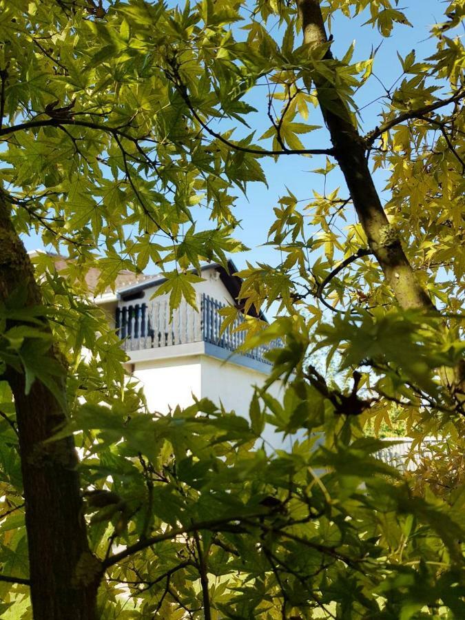 Studio Apartman Gradna Samobor Eksteriør bilde